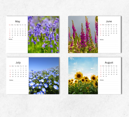 Wildflowers Desk Calendar 2027-2028