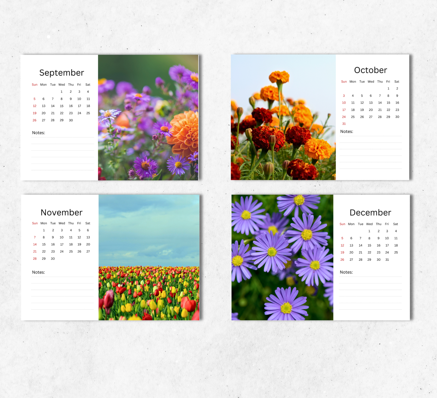Wildflowers Desk Calendar 2027-2028