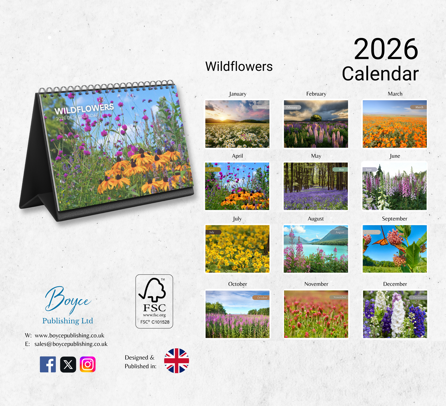 Wildflowers Desk Calendar 2026-2027