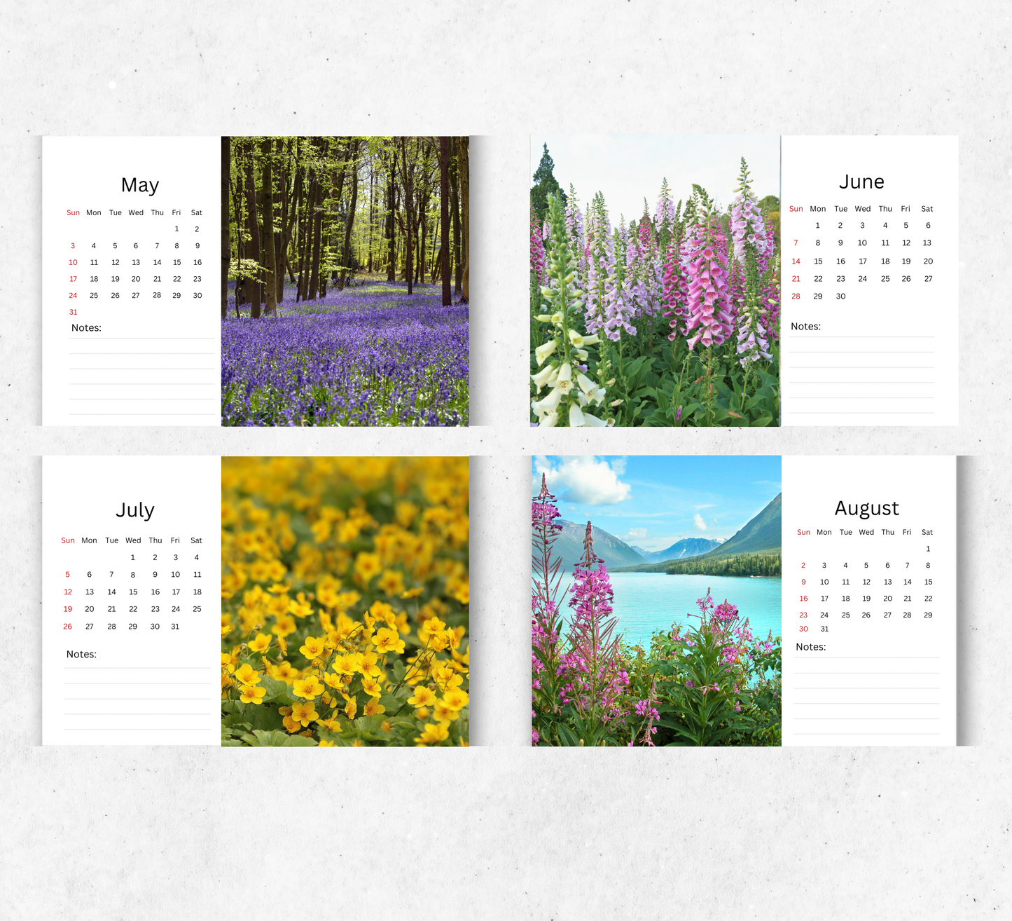 Wildflowers Desk Calendar 2026-2027