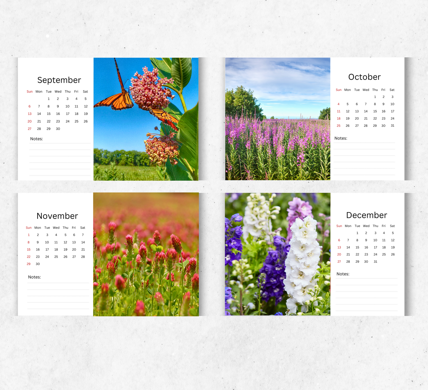 Wildflowers Desk Calendar 2026-2027