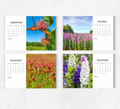 Wildflowers Desk Calendar 2026-2027