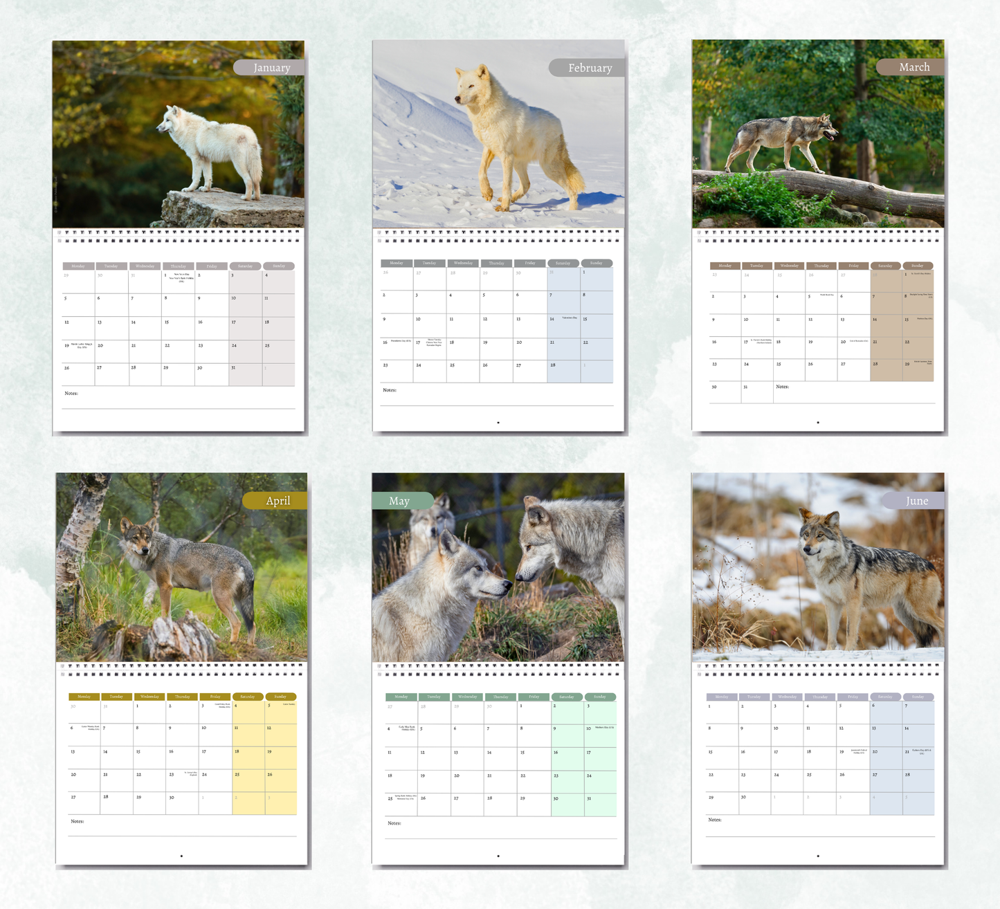 Wolf Calendar 2027
