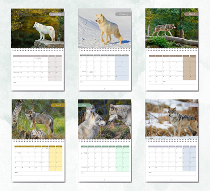 Wolf Calendar 2027