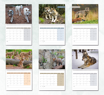 Wolf Calendar 2027