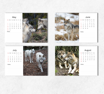 Wolf Desk Calendar 2027-2028