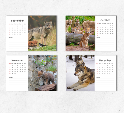 Wolf Desk Calendar 2027-2028