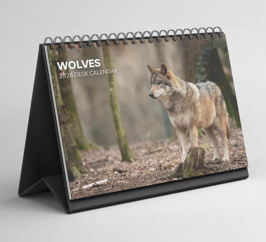 Wolf Desk Calendar 2026-2027