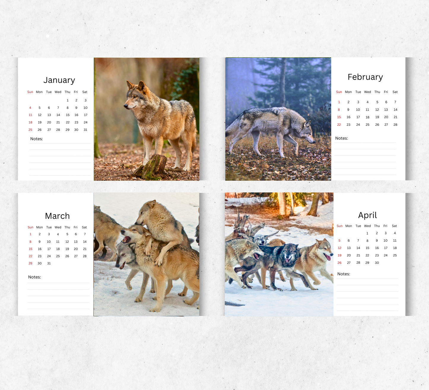 Wolf Desk Calendar 2026-2027