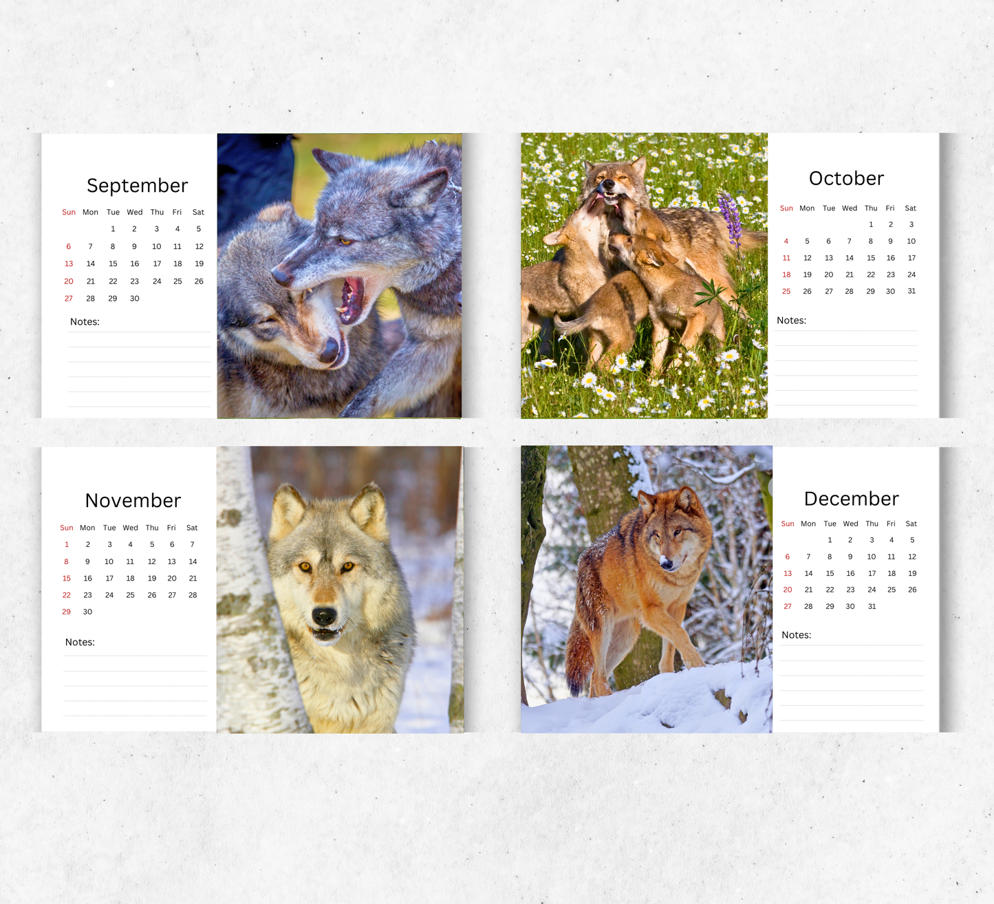 Wolf Desk Calendar 2026-2027