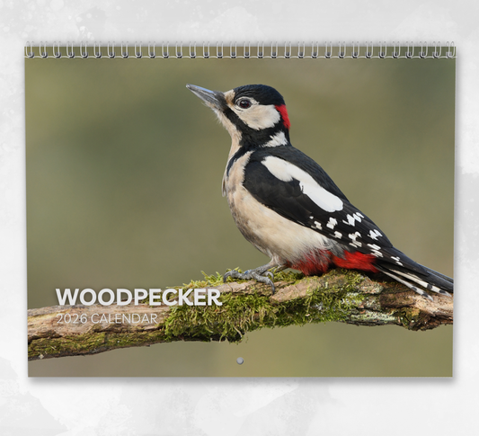 Woodpecker Calendar 2026
