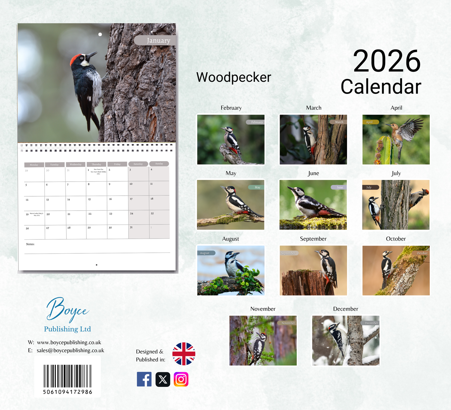 Woodpecker Calendar 2026