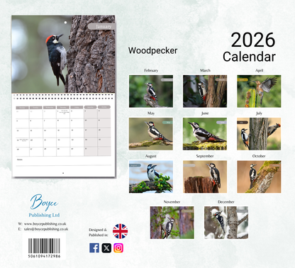 Woodpecker Calendar 2026