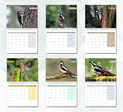 Woodpecker Calendar 2026