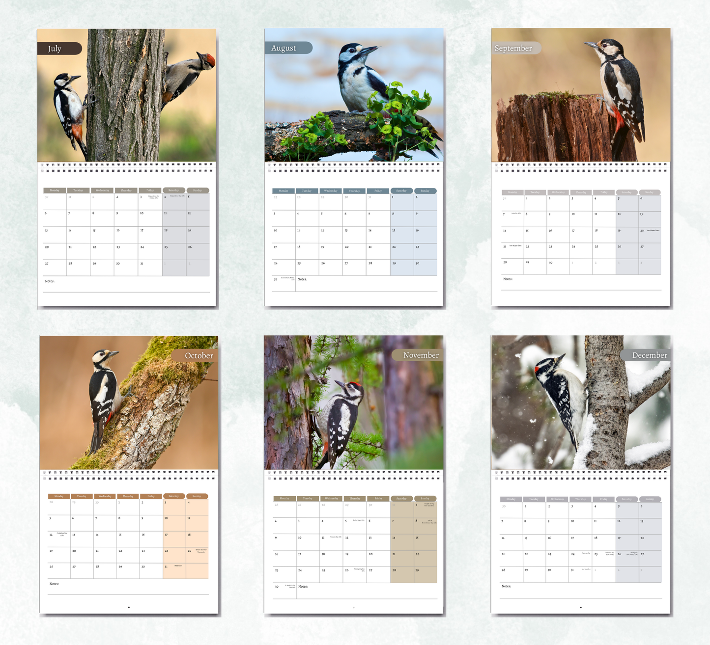 Woodpecker Calendar 2026