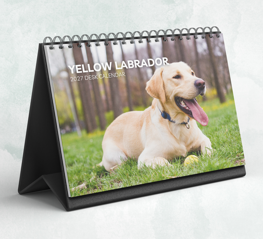 Yellow Labrador Desk Calendar 2027-2028