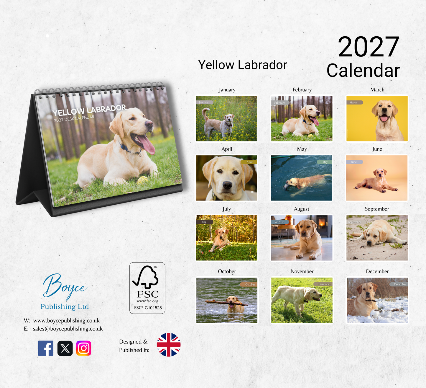 Yellow Labrador Desk Calendar 2027-2028