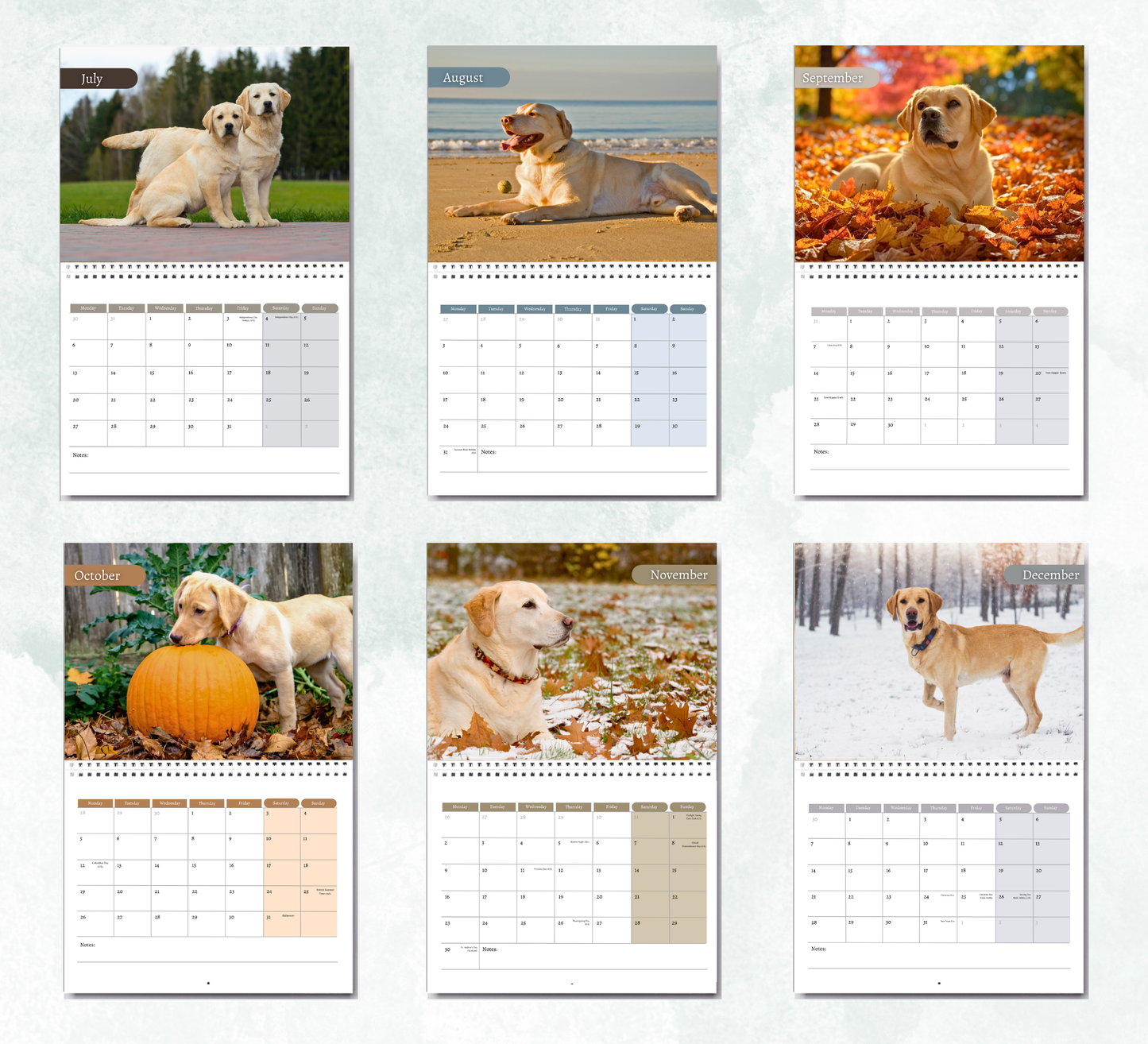 Yellow Labrador Calendar 2026