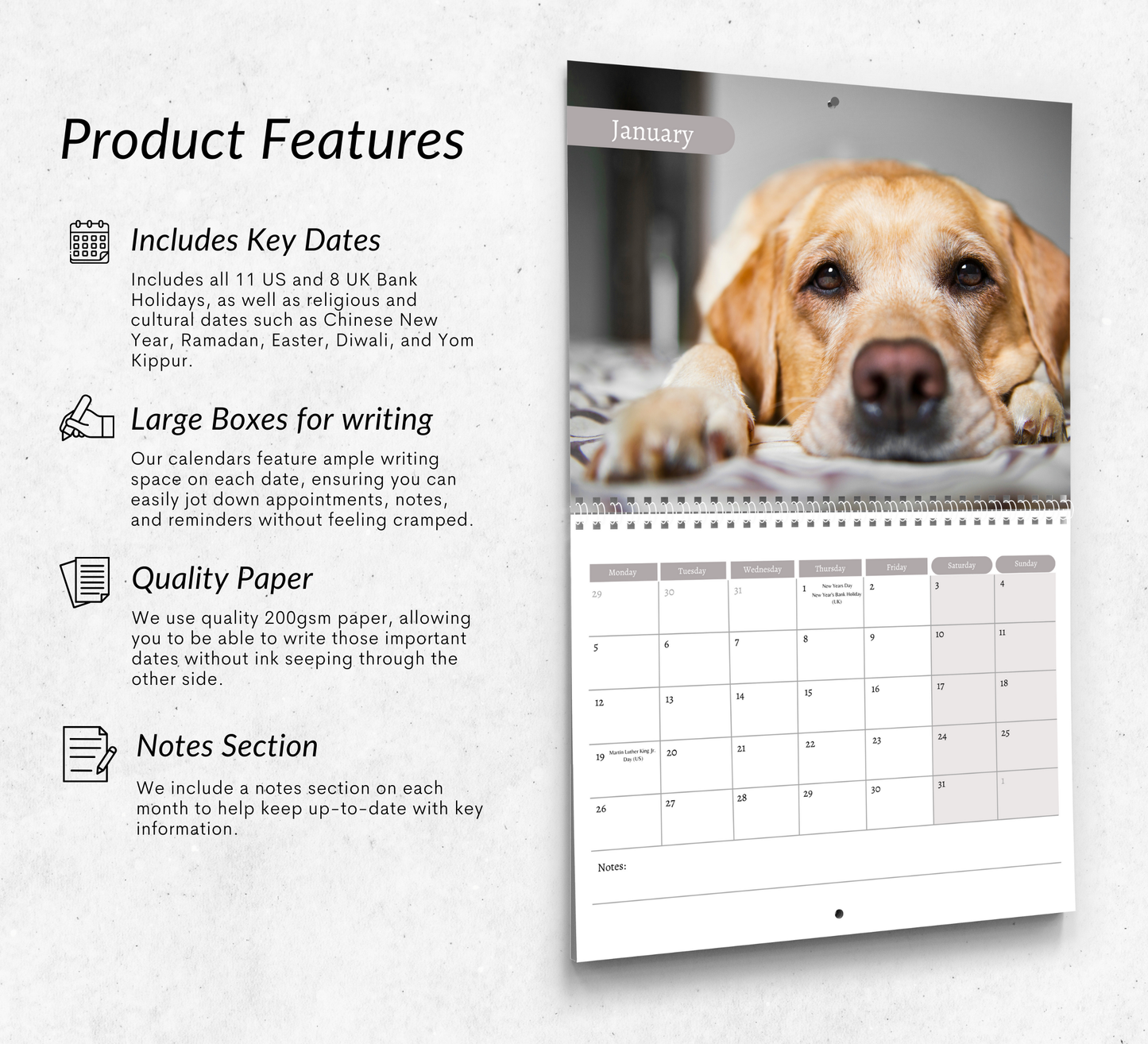 Yellow Labrador Calendar 2026