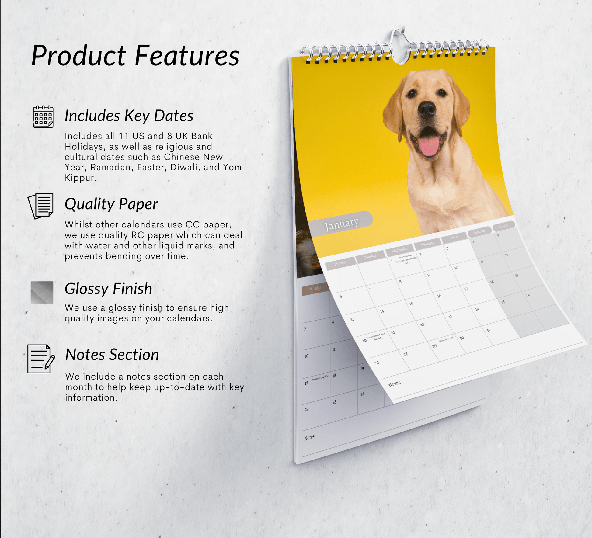 A calendar displaying a striking yellow labrador image on a yellow background. Including description of the yellow labrador calendars product features which includes key dates, quality paper, glossy finish and a notes section.