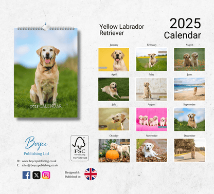 A yellow labrador retreiver calendar showing each unique yellow lab image for each month ranging from January to December.