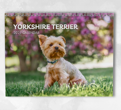 Yorkshire Terrier Calendar 2027
