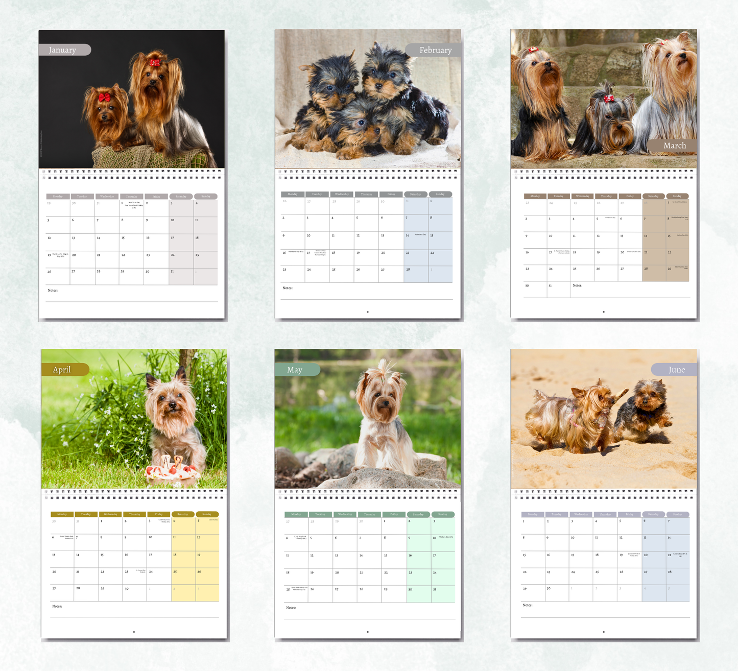 Yorkshire Terrier Calendar 2027