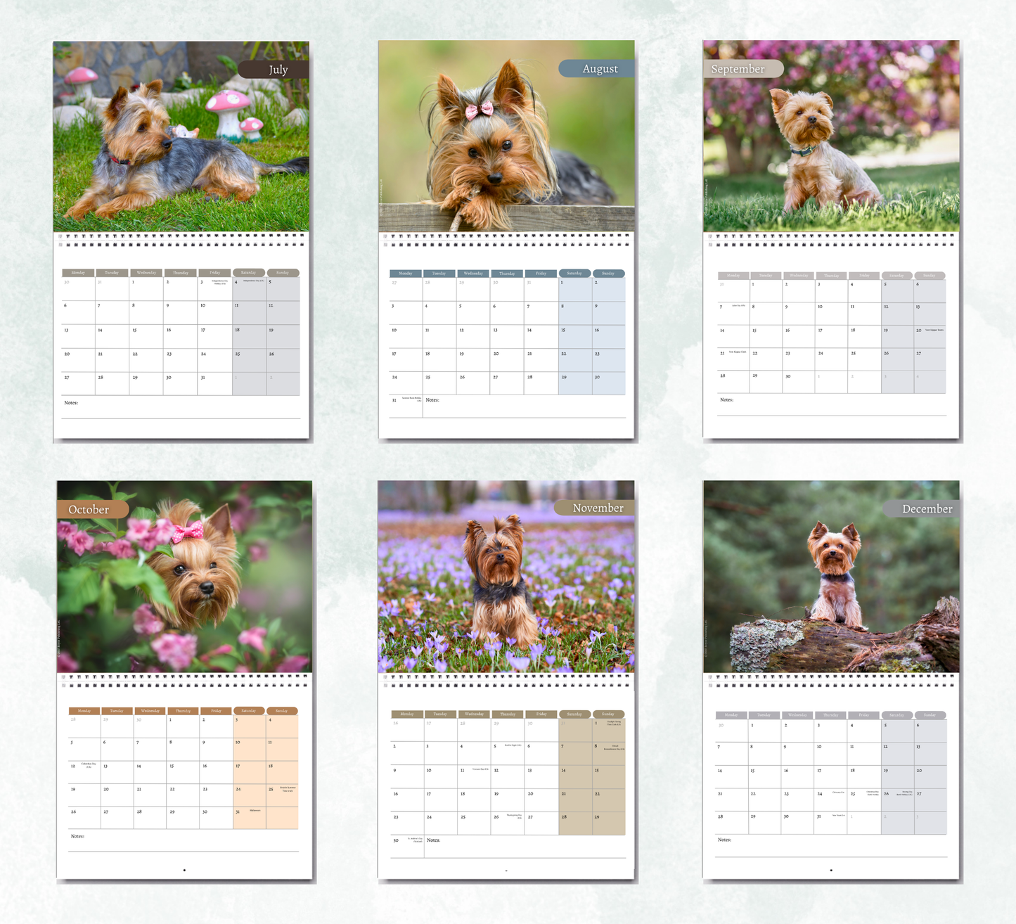 Yorkshire Terrier Calendar 2027