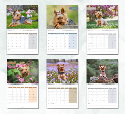 Yorkshire Terrier Calendar 2027