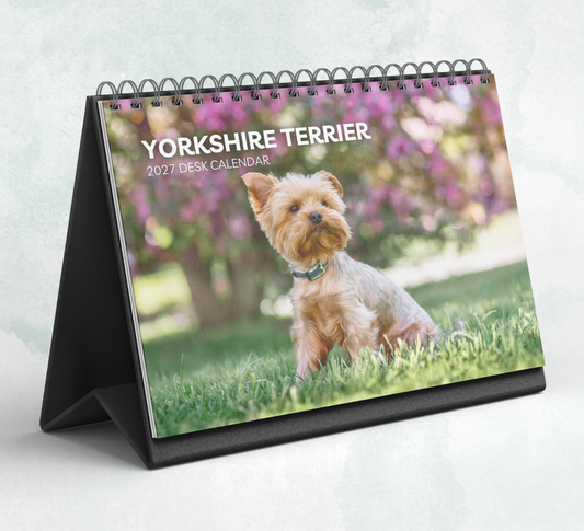 Yorkshire Terrier Desk Calendar 2027-2028