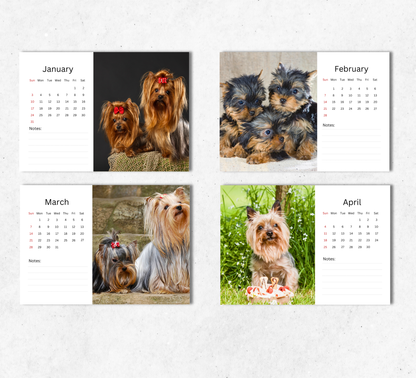 Yorkshire Terrier Desk Calendar 2027-2028