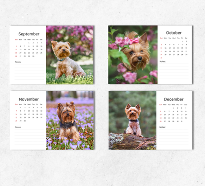 Yorkshire Terrier Desk Calendar 2027-2028