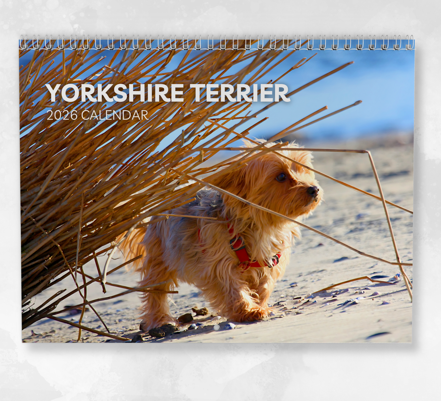 Yorkshire Terrier Calendar 2026