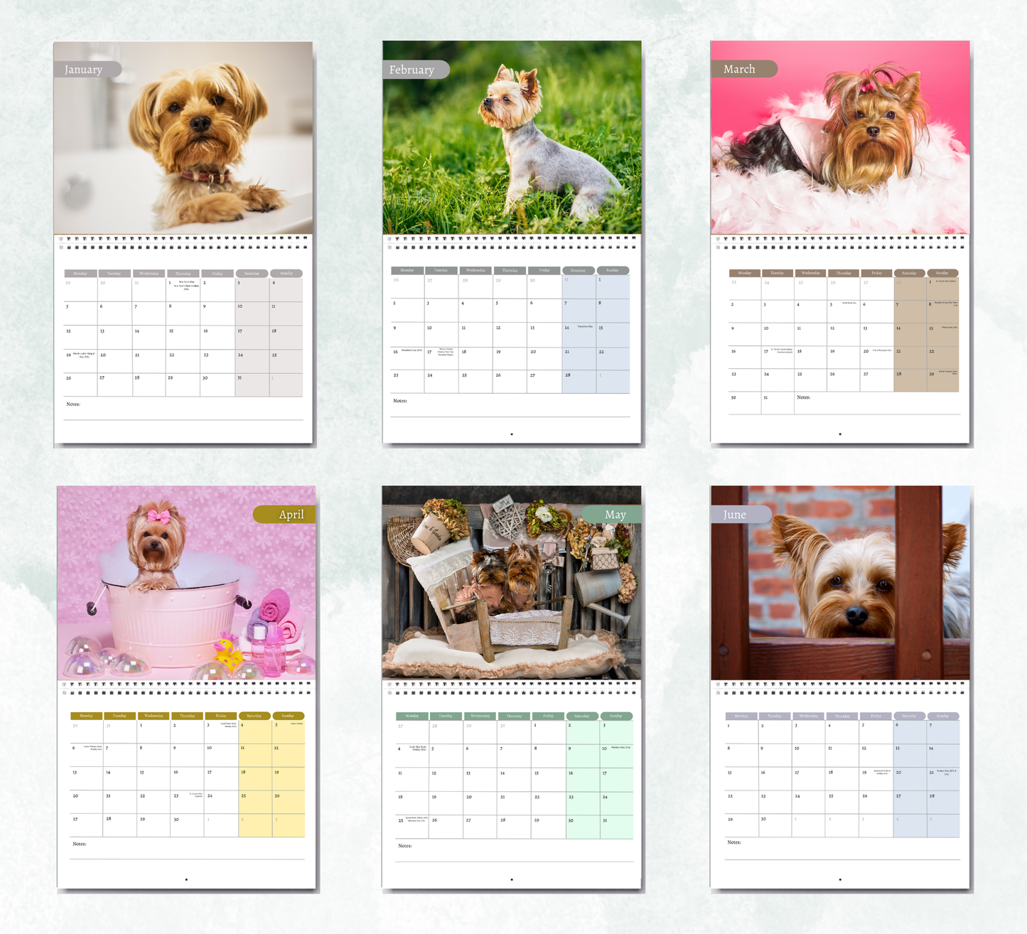 Yorkshire Terrier Calendar 2026