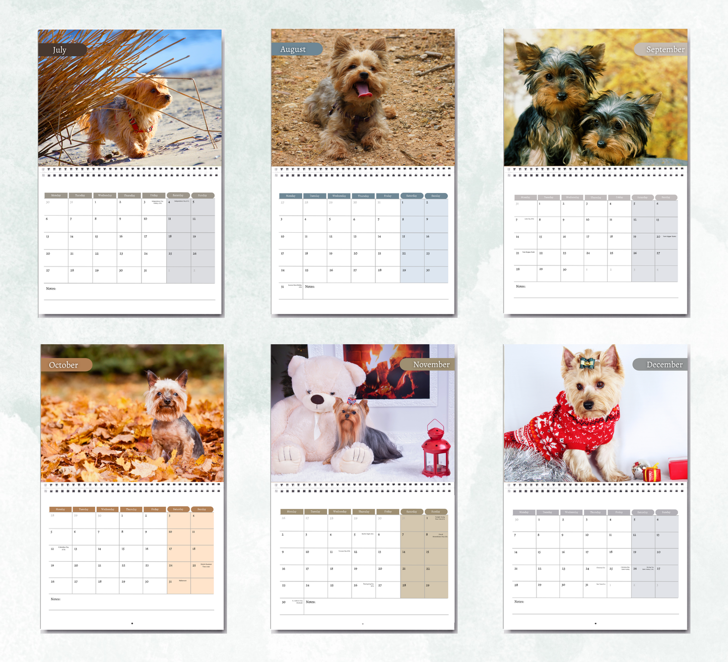 Yorkshire Terrier Calendar 2026