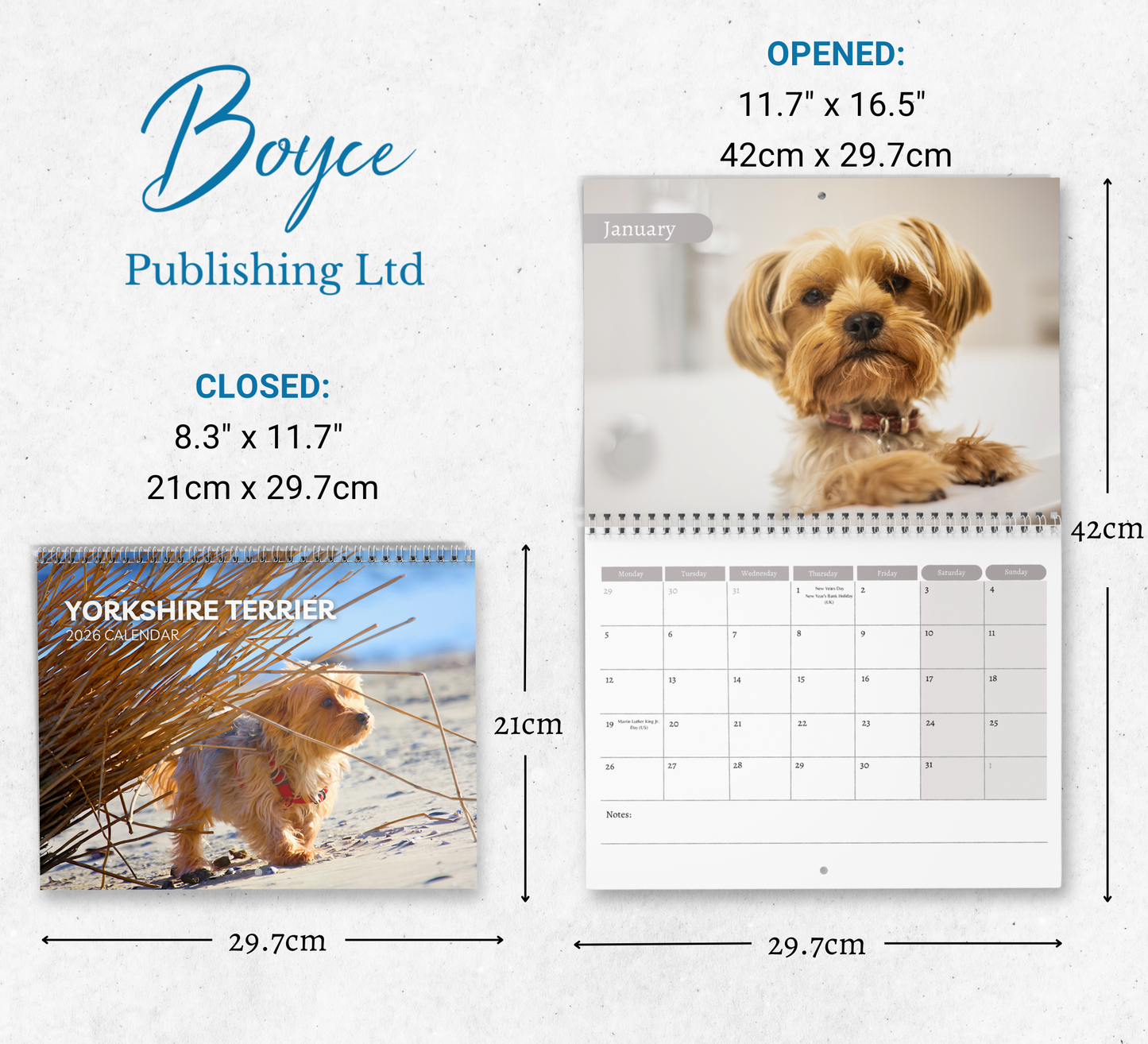 Yorkshire Terrier Calendar 2026