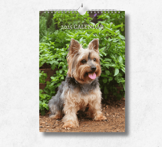 A calendar featuring brown yorkshire terrier sitting on floor with lush green herbage in the background.