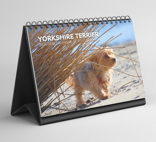 Yorkshire Terrier Desk Calendar 2026-2027