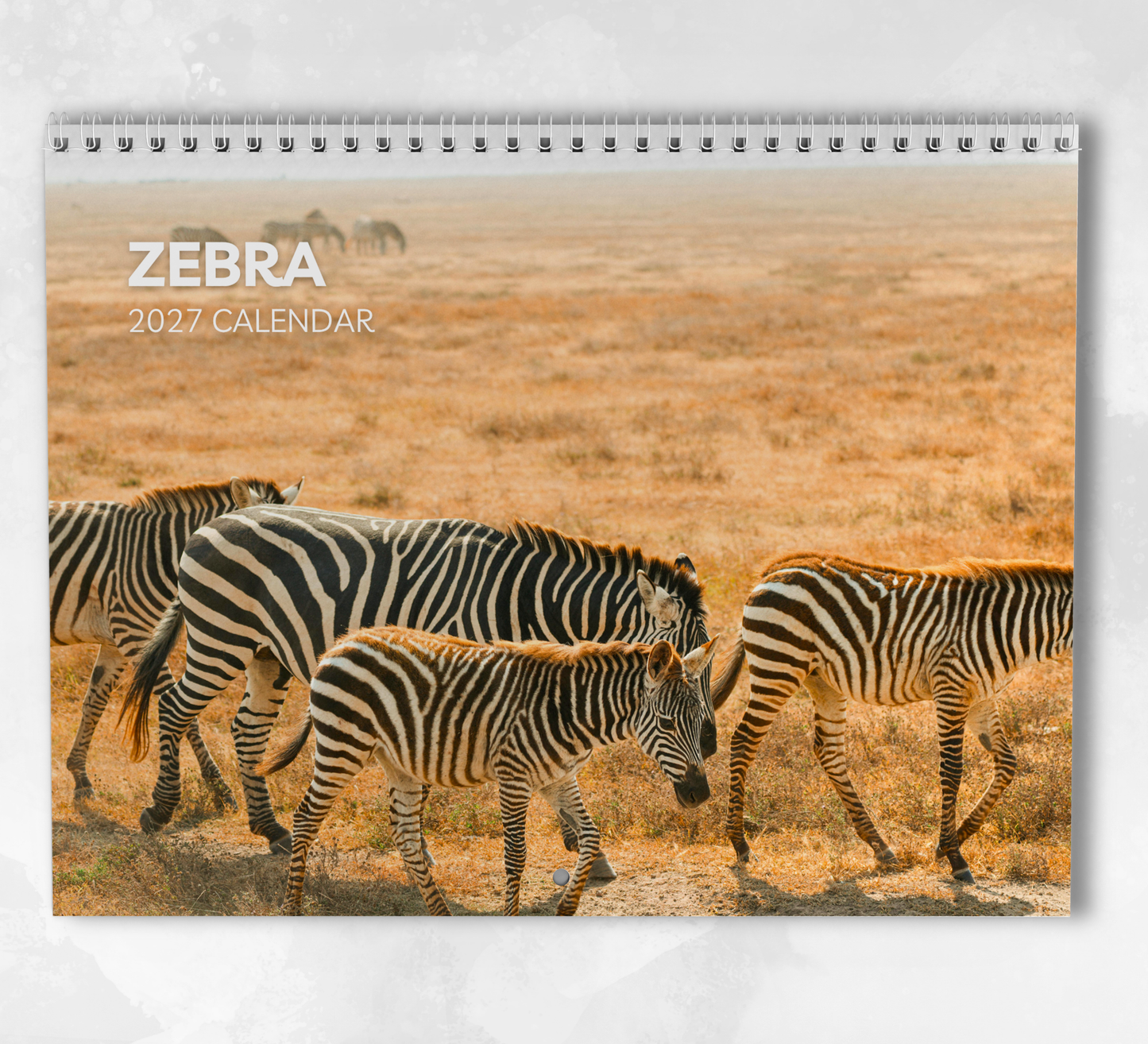 Zebra Calendar 2027