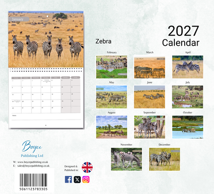 Zebra Calendar 2027