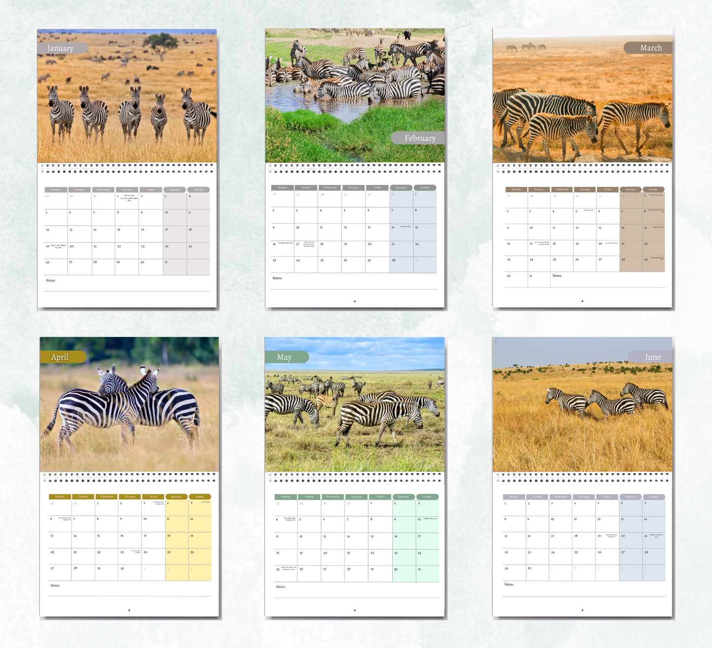 Zebra Calendar 2027