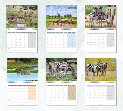 Zebra Calendar 2027