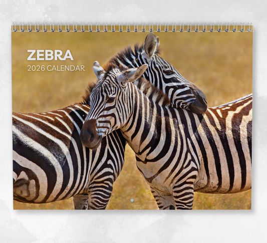 Zebra Calendar 2026