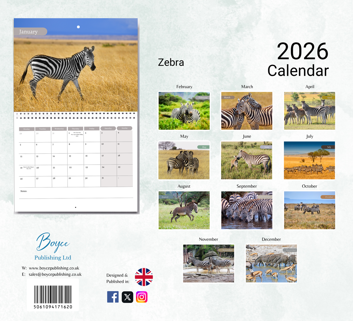Zebra Calendar 2026