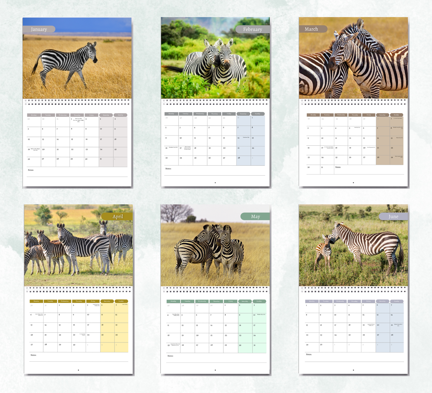 Zebra Calendar 2026