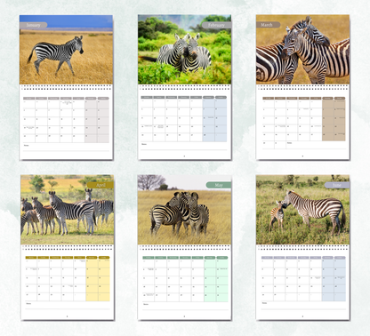 Zebra Calendar 2026