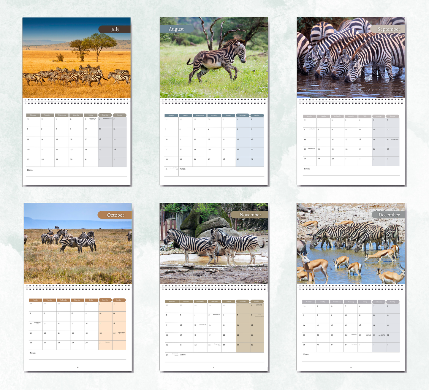 Zebra Calendar 2026