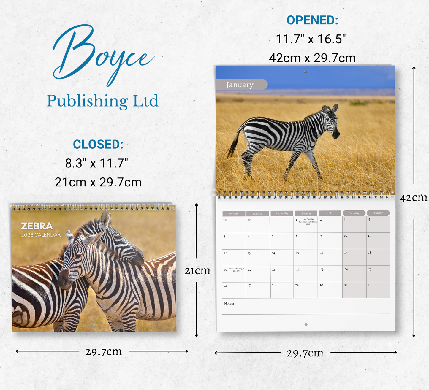 Zebra Calendar 2026