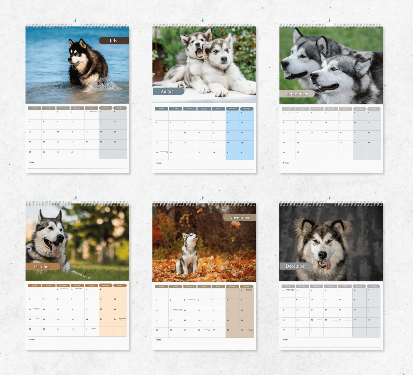 Alaskan Malamute Calendar 2025