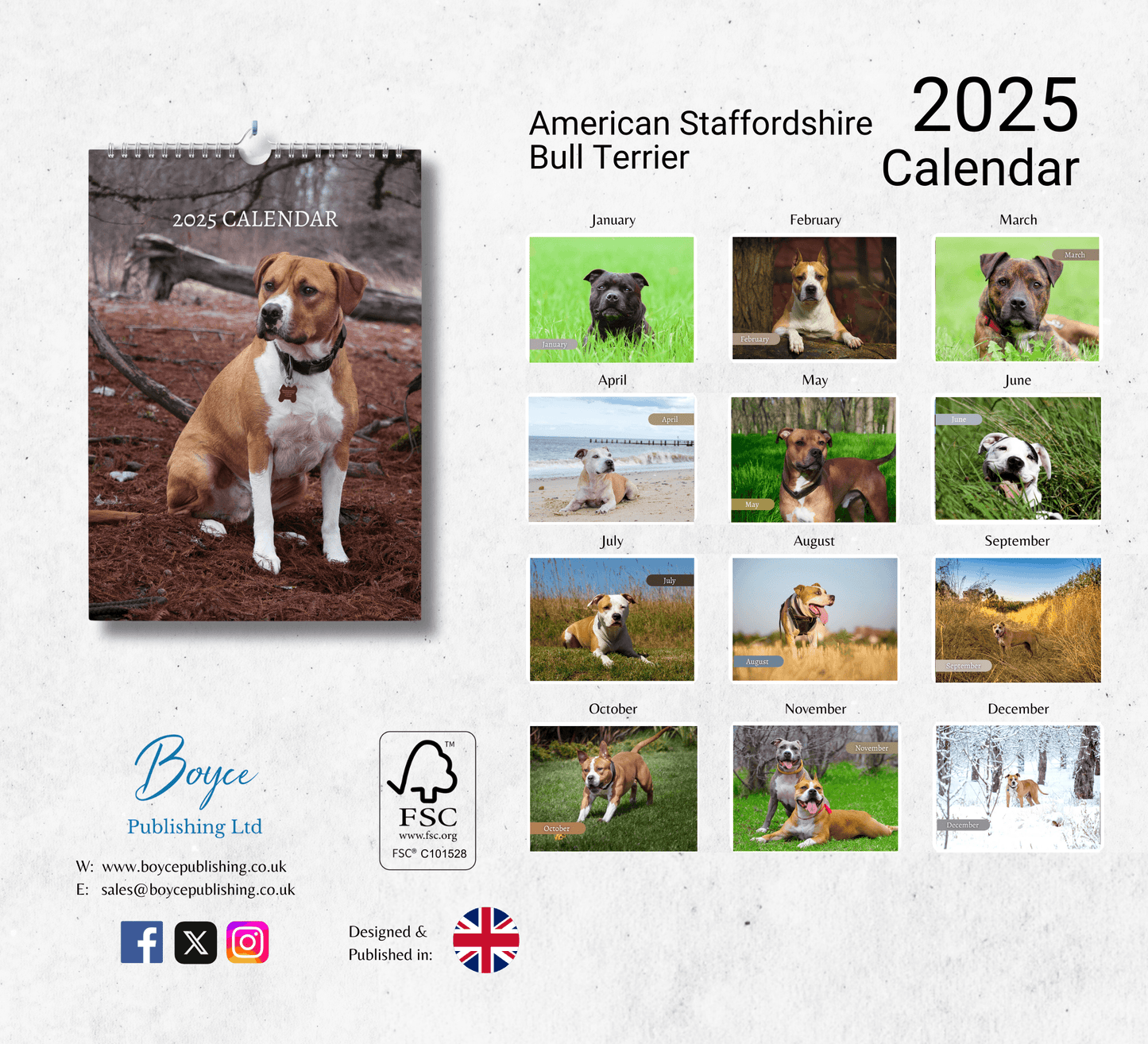 American Staffordshire Terrier Calendar 2025